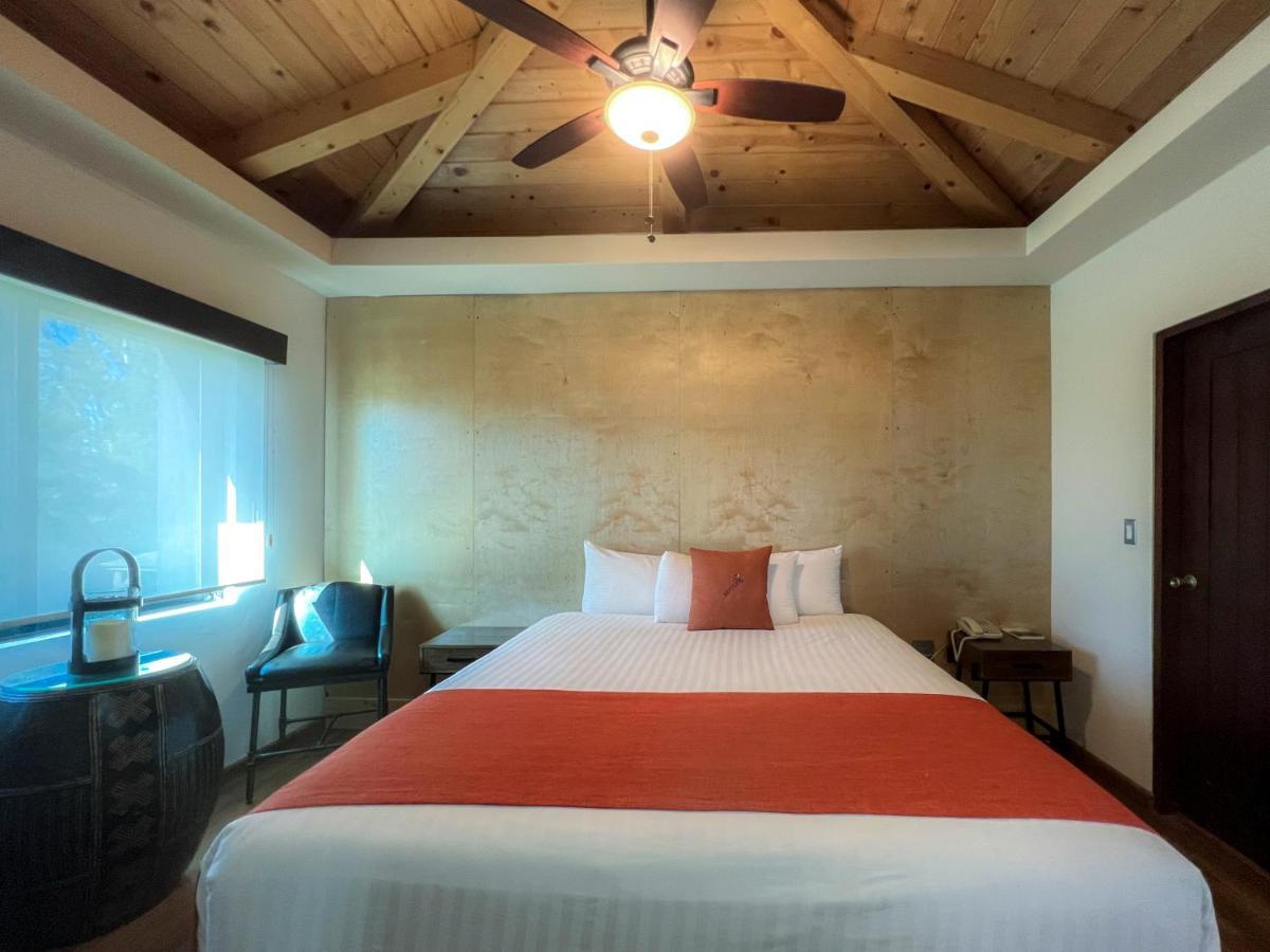 Bottega Hotel Boutique Valle de Guadalupe Pokoj fotografie
